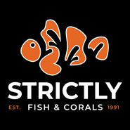 Strictly Fish Miami