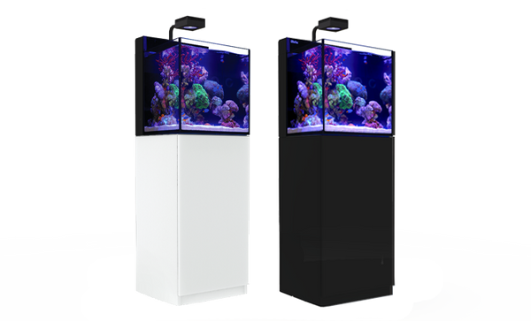 【アウトレット】大型マグロ 超深海 GrandEvo Deep Sea 270-600 C/Edition(out-lin-658121) MAX-NANO-banner-black-and-