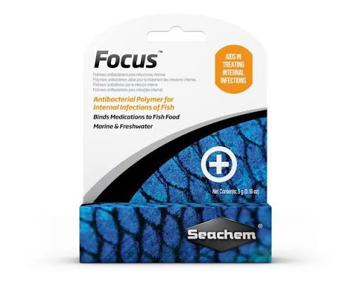 Focus
