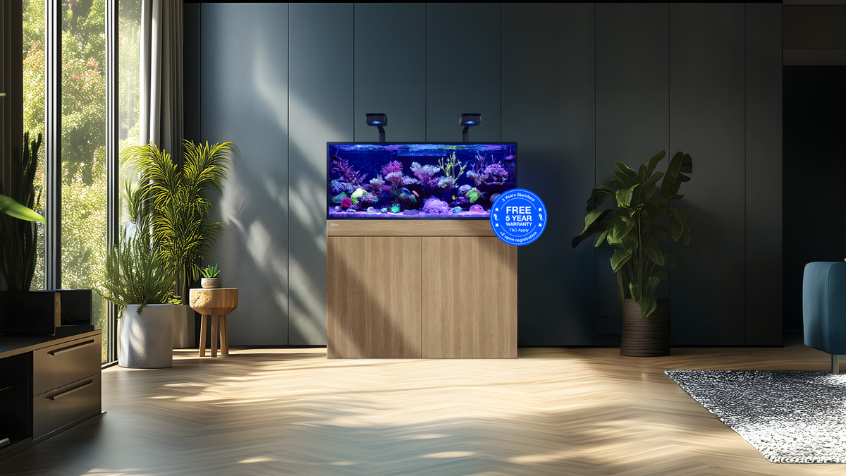 Red Sea REEF-FRAME reef aquarium