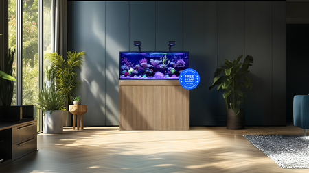 Red Sea REEF-FRAME reef aquarium