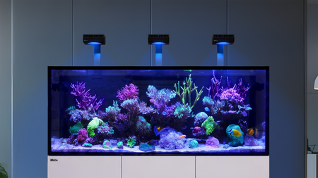 REEFER G3+ reef tank concept with corals