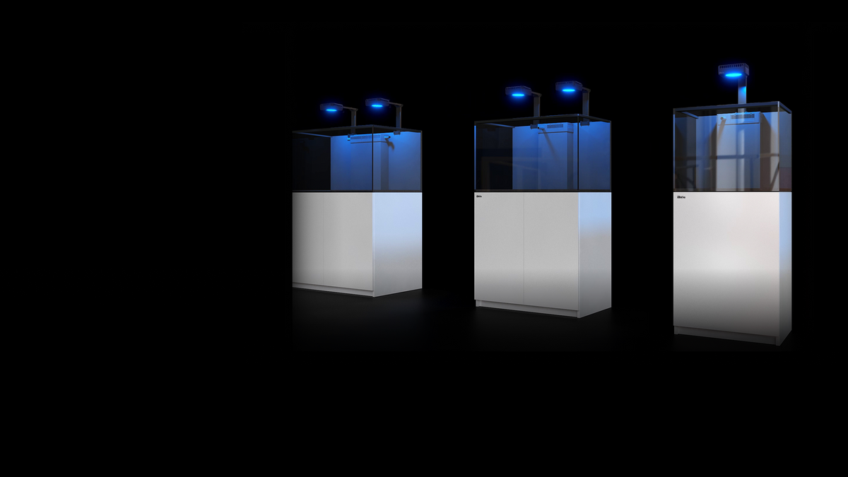 REEFER G3+ size range