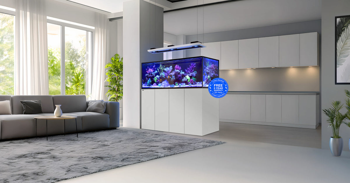 Red Sea REEFER Peninsula G3+ reef aquarium