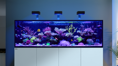 REEFER S G3+ concept