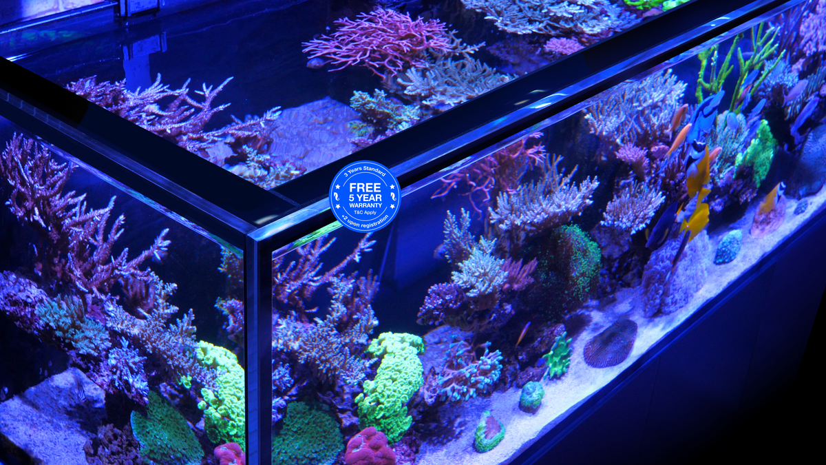 REEFER S G3+ ultra-clear glass and frame