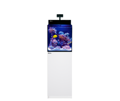MAX NANO G2 Cube