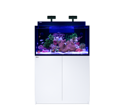 MAX NANO G2 XXL