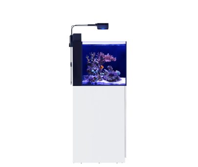 MAX NANO G2 Peninsula
