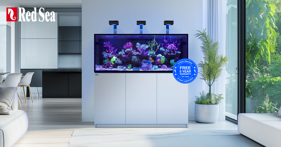 Red Sea REEFER G3+ reef aquarium range
