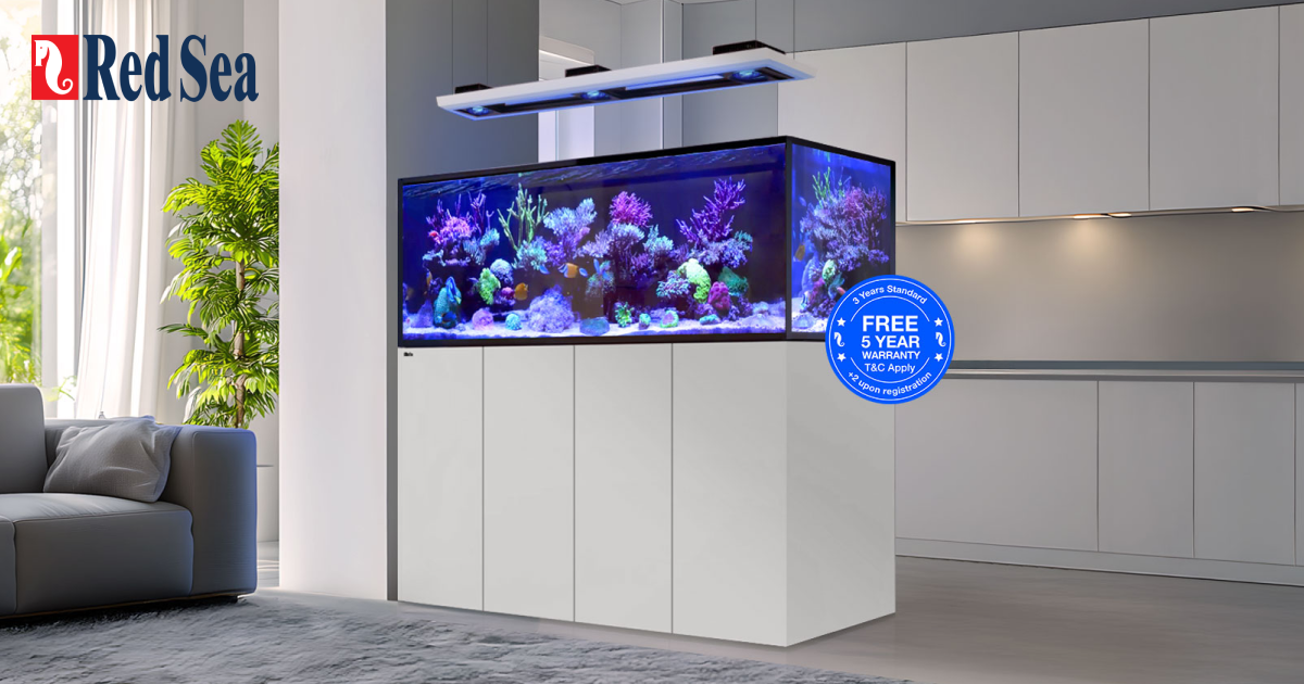 Red Sea REEFER Peninsula G3+ range