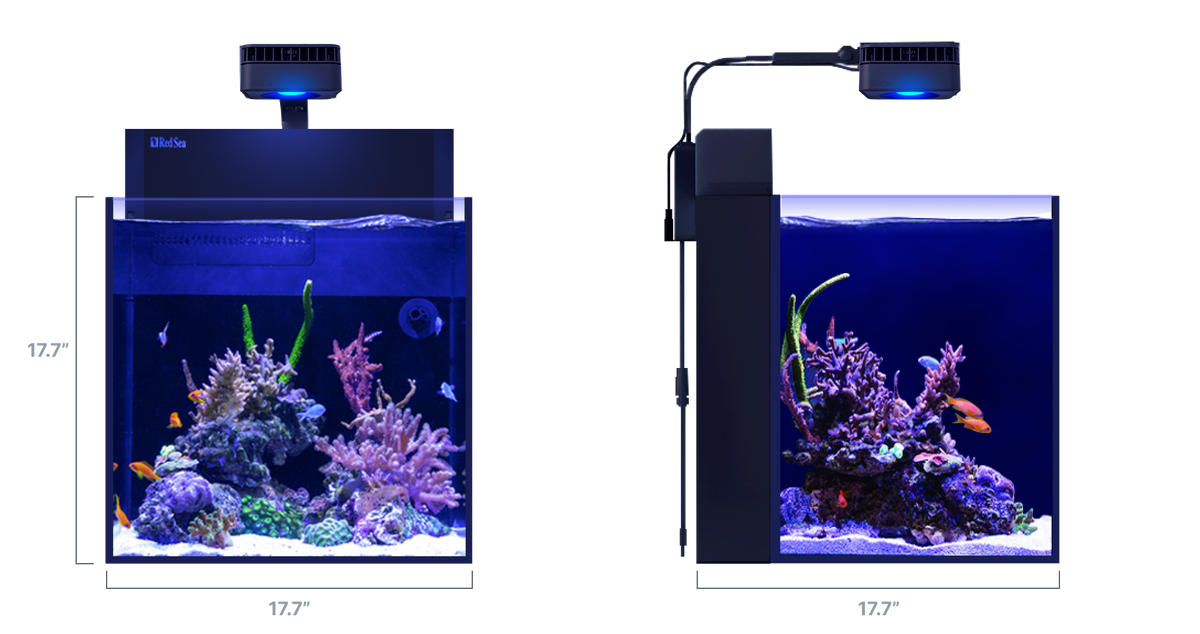 MAX NANO G2 Cube dimensions