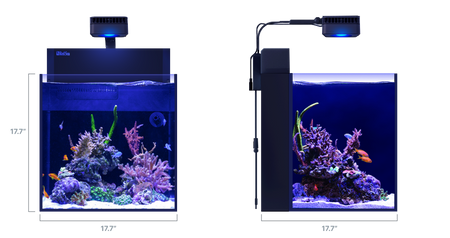 MAX NANO G2 Cube dimensions