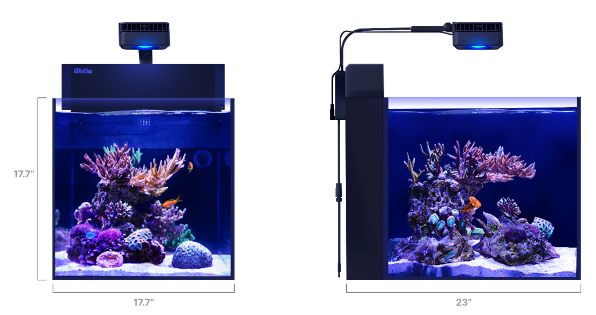 MAX NANO G2 Peninsula dimensions