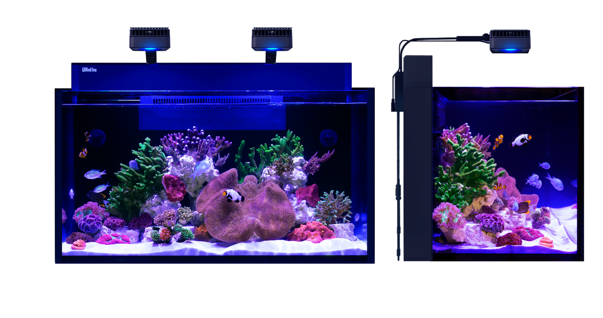 MAX NANO G2 XXL dimensions
