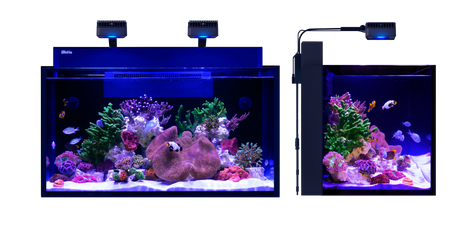 MAX NANO G2 XXL dimensions