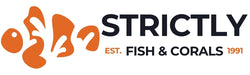 Strictly Fish & Corals