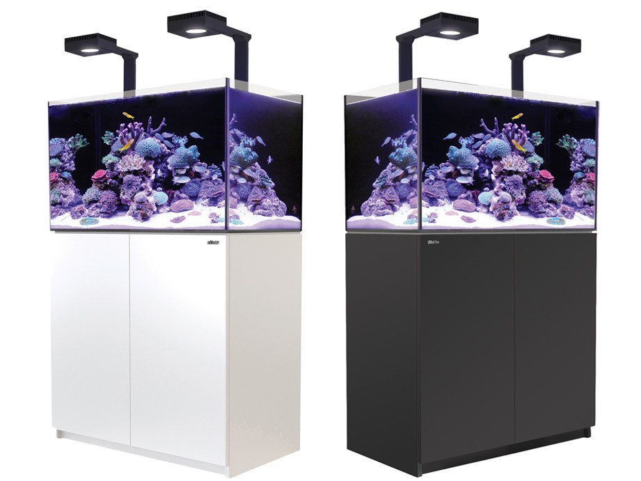 Red Sea Reefer 250 tank