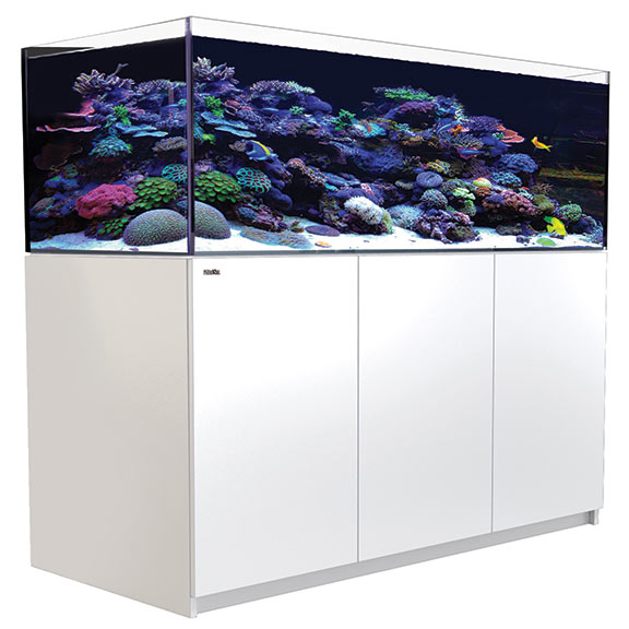 Red Sea 525 Reefer Tank