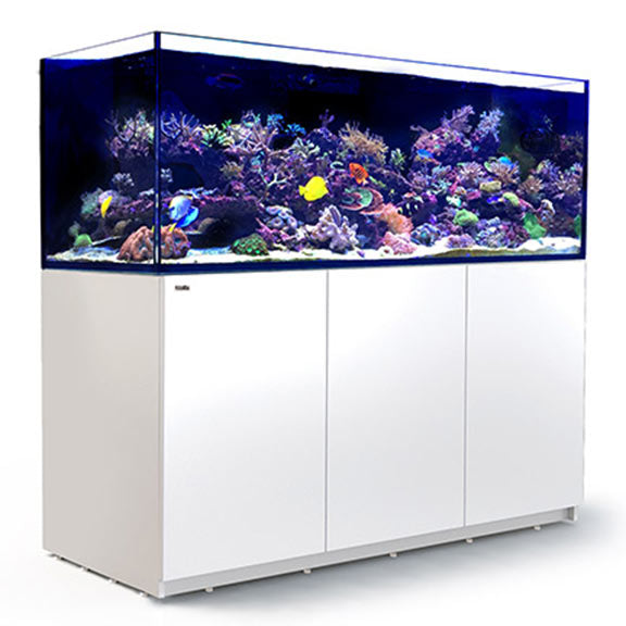 Red Sea Reefer 625 White Deluxe