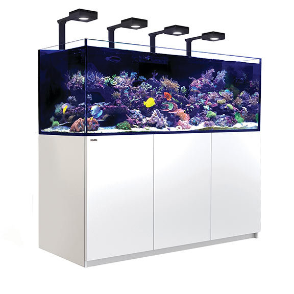 Red Sea Reefer 750 Deluxe White