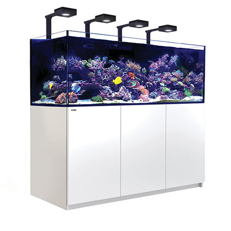 Red Sea Reefer 750 Deluxe White