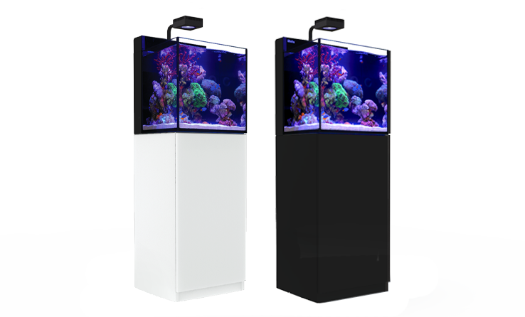 Red Sea MAX Nano G2 XL Plug and Play 33 Gallon Reef Tank - LOCAL PICK UP ONLY