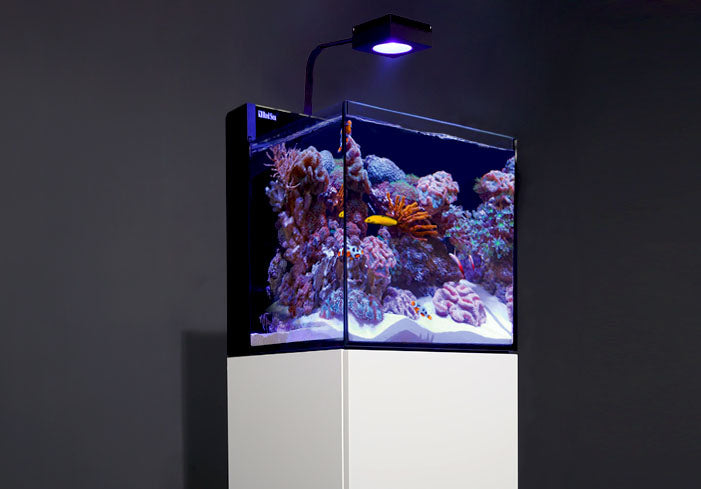 Red Sea MAX Nano G2 XL Plug and Play 33 Gallon Reef Tank - LOCAL PICK UP ONLY